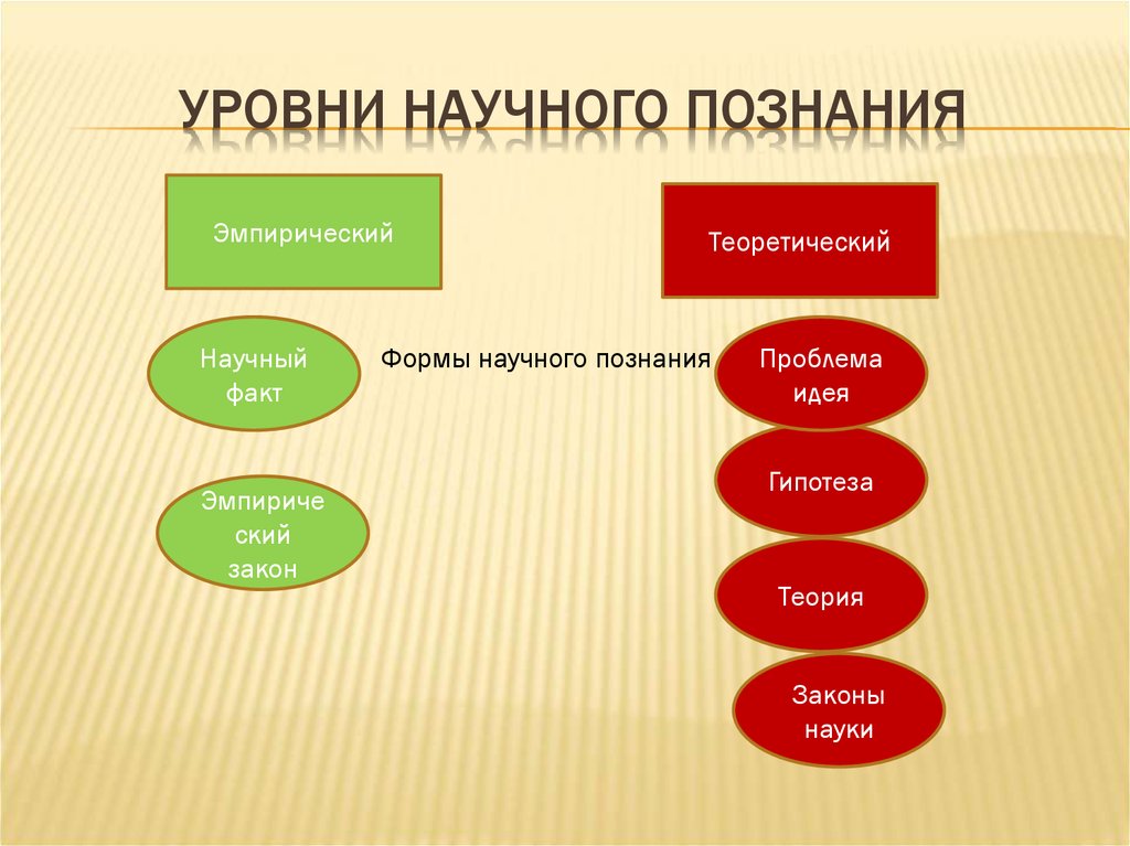 Формы и методы научного познания презентация