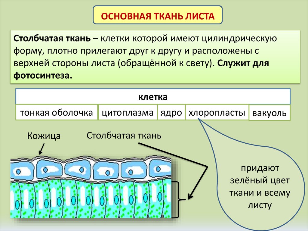    - 55 