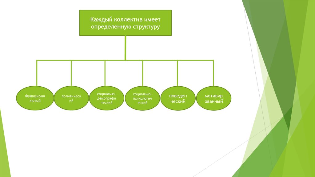 Имеют определенную структуру. Структура коллектива. Структура трудового коллектива. Социальная структура коллектива. Социальная структура трудового коллектива.