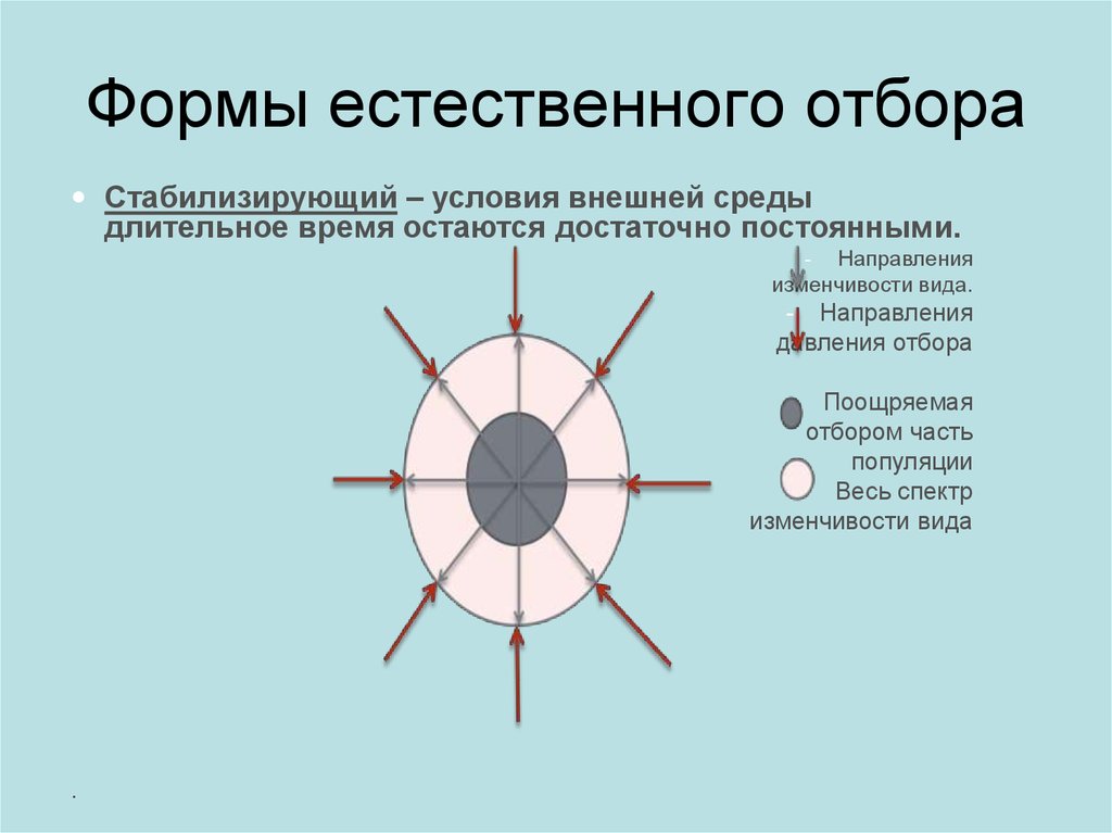 Тип направления