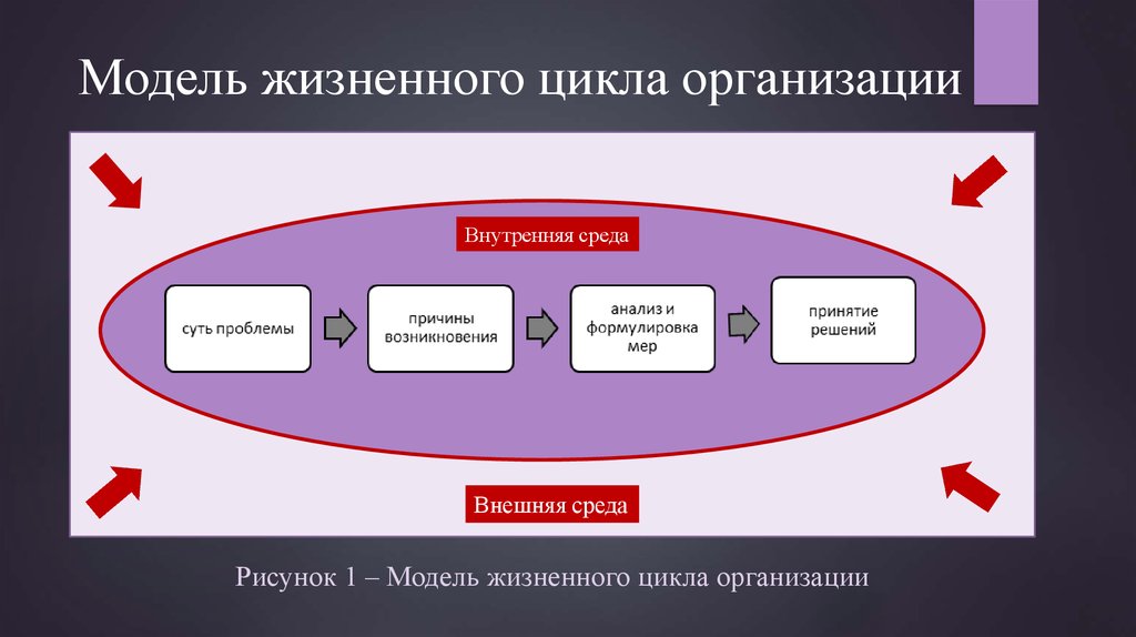 Жизненные стадии компании. Жизненный цикл организации. Модели жизненного цикла организации. Жизненный цикл юридического лица. Модель организации жизненного цикла на предприятии.