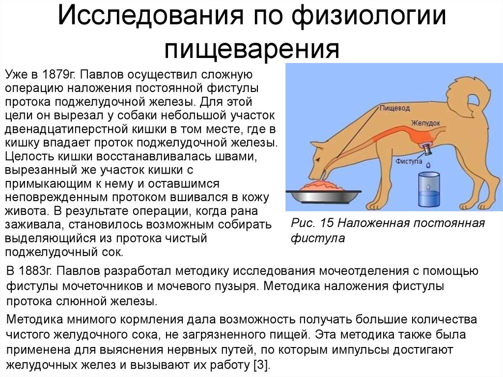 Руководство по вирусологическим исследованиям на полиомиелит воз 1998