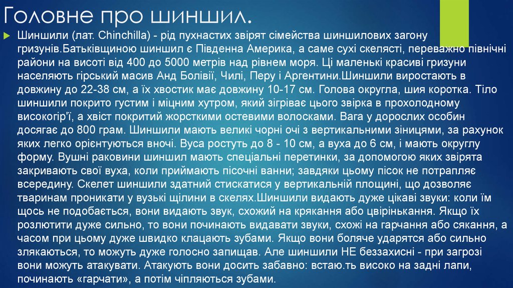 Головне про шиншил.