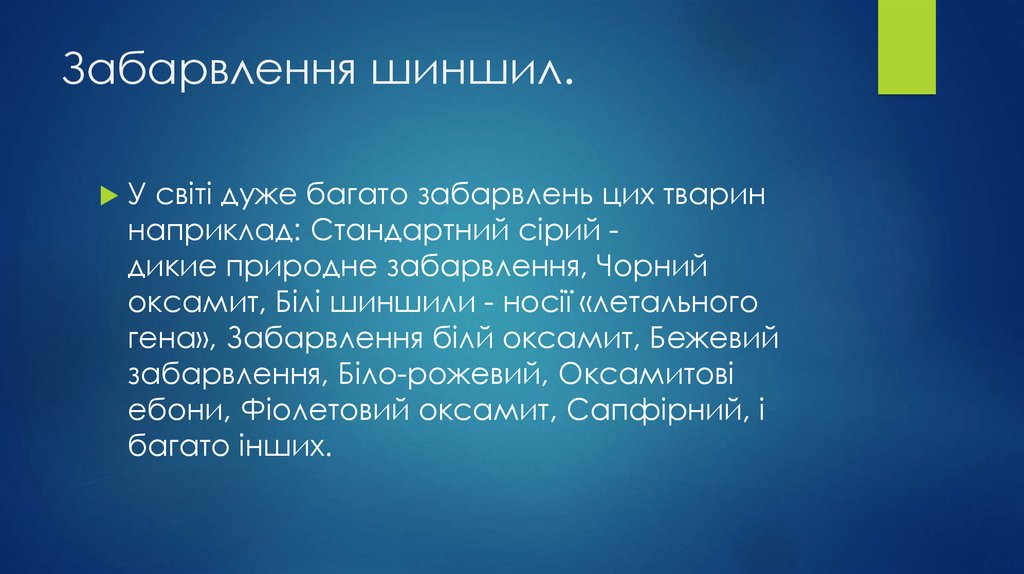 Забарвлення шиншил.