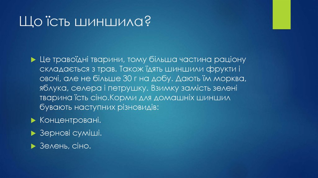 Що їсть шиншила?