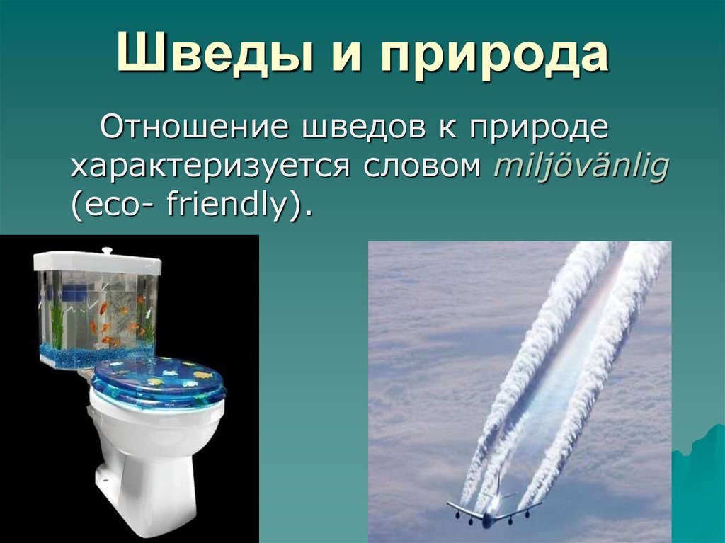 Шведы и природа