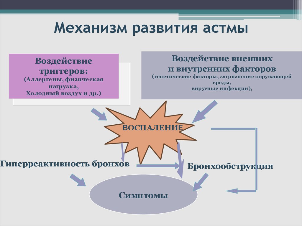 Механизмах появления и развития. Механизм возникновения бронхиальной астмы. Механизм развития бронхиальной астмы схема. Патогенез бронхиальной астмы схема. Патогенез аллергической бронхиальной астмы.