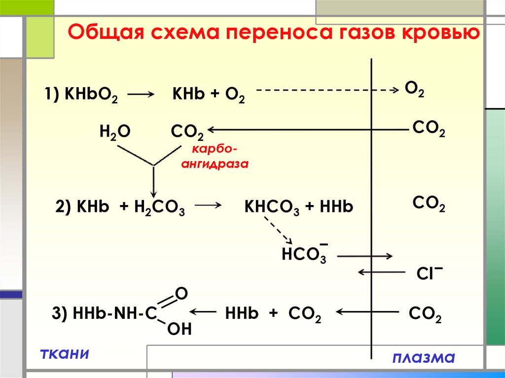 Перенос газов кровью