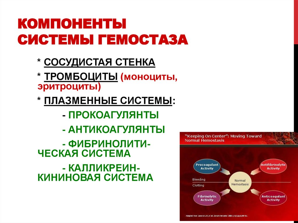 Система гемостаза презентация