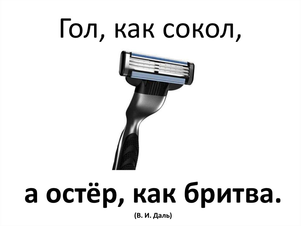 Гол, как сокол,