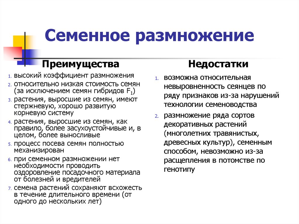 В чем преимущество перед спорами. Семенное размножение. Семенное размножение растений преимущества и недостатки. Преимущества семенного размножения. Недостатки семенного размножения.