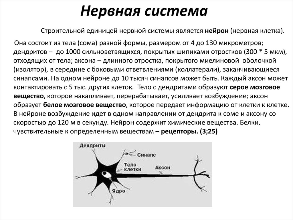 Возбуждение усиление