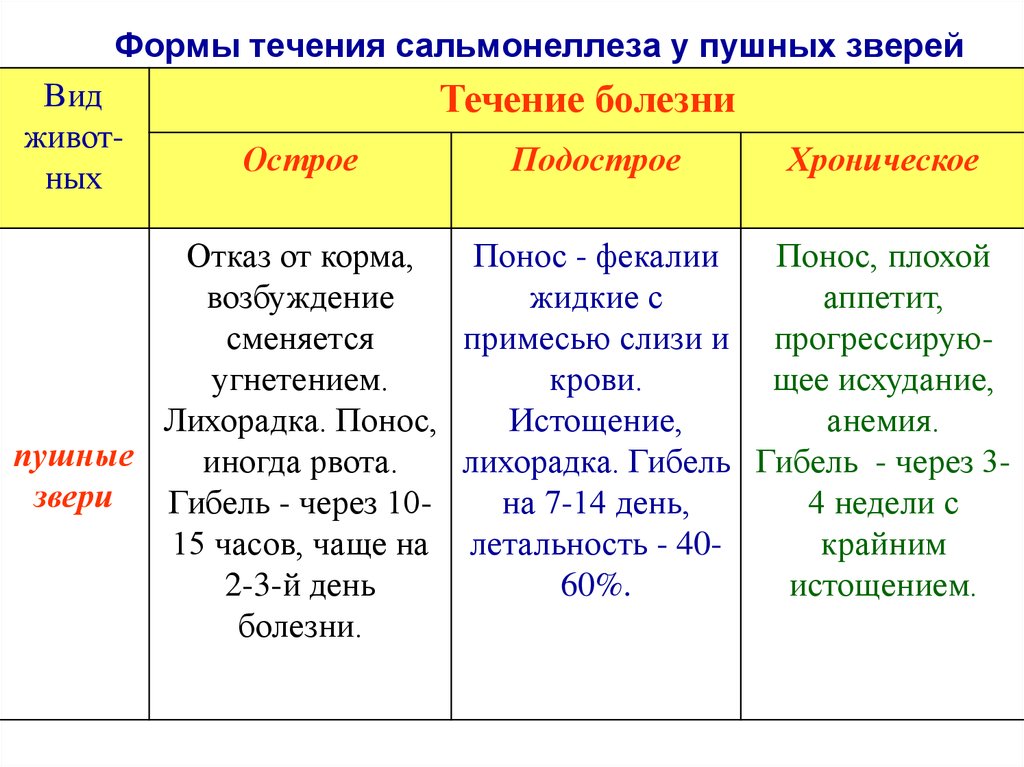 Форма течения