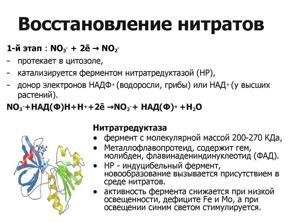 Восстановление нитрита