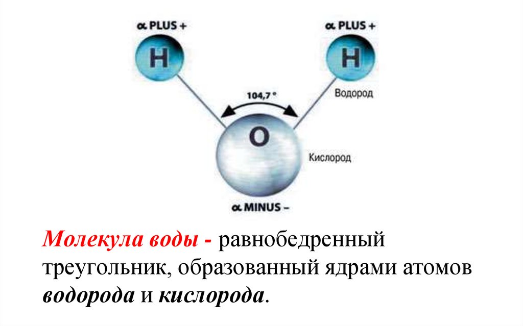 Какой заряд ядра атома водорода. Молекула воды. Молекула водорода. Молекулы водорода и кислорода. Молекулы воды кислорода водорода.