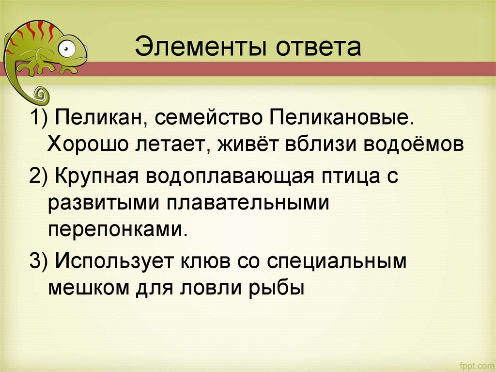 Элемент ответа. Отвечаешь и элементы.