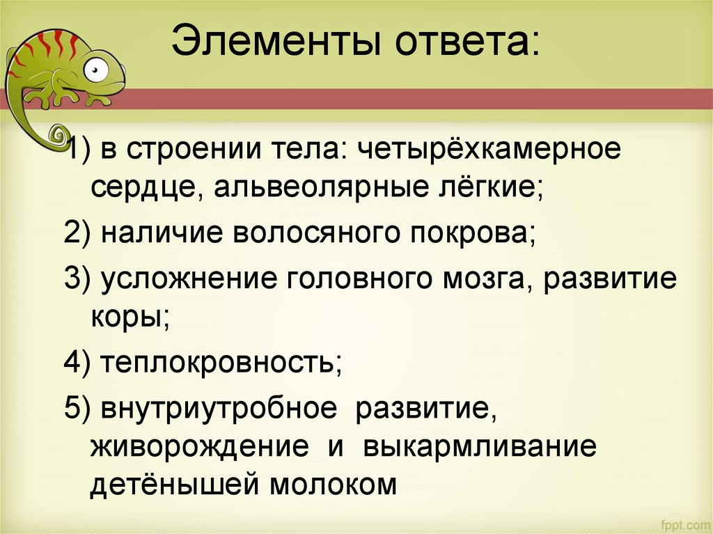 Элемент ответа. Наличие волосяного Покрова. Лист вопросов-ответов структура. Отвечаешь и элементы. Развитие волосяного Покрова приматов обеспечивает их теплокровность.