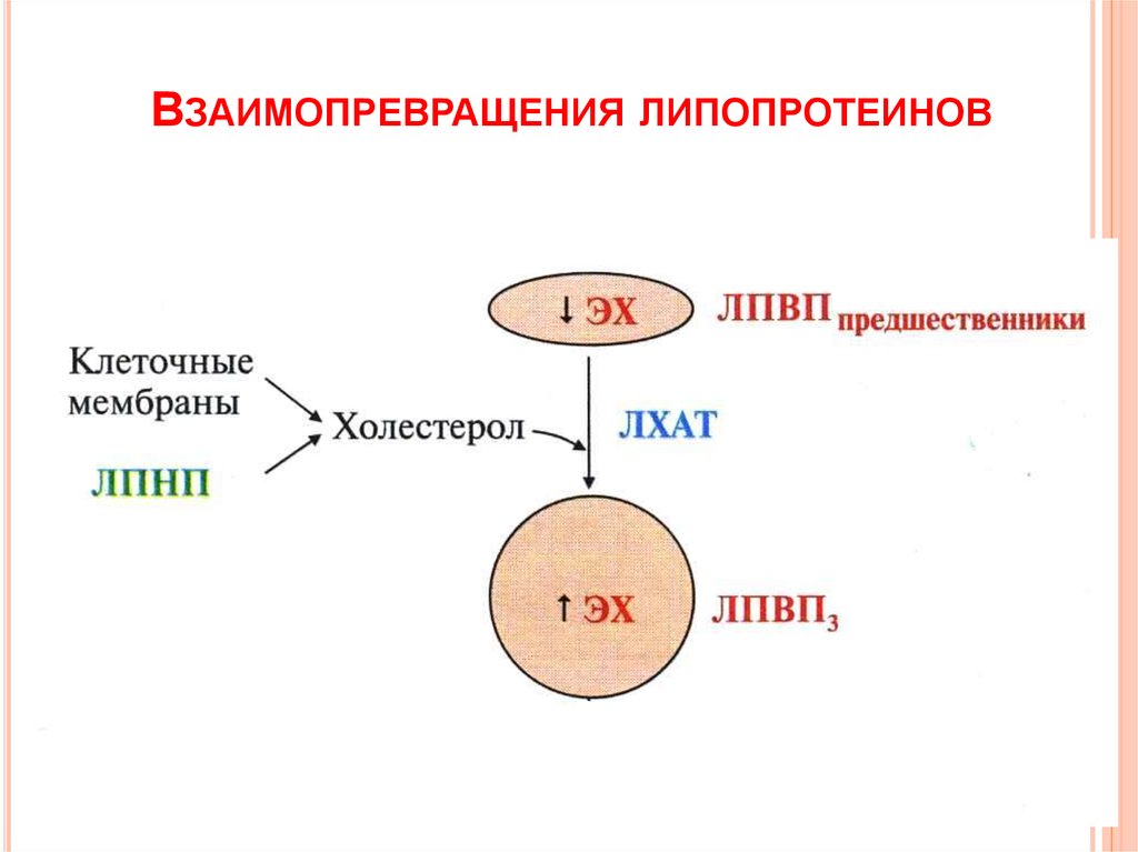 Схема лхат реакции