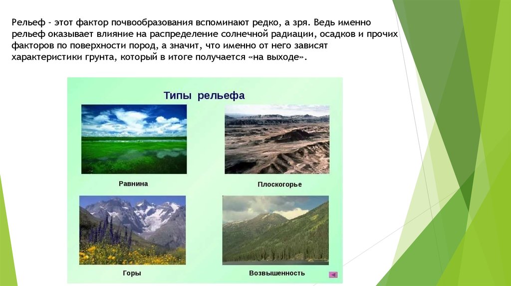 Факторы рельефа. Рельеф в почвообразовании. Влияние рельефа на почвообразование. На что оказывает рельеф.