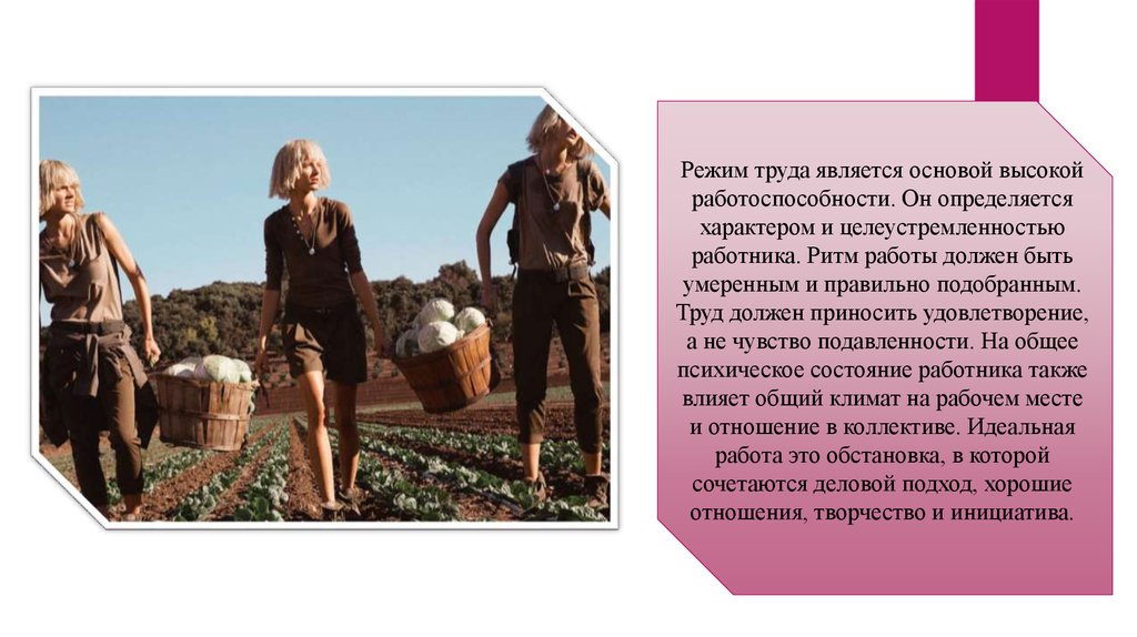 Рассуждение на тему труд