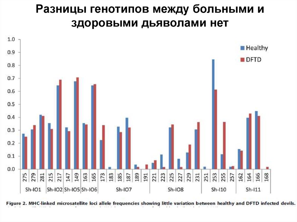 Разницы генотипов между больными и здоровыми дьяволами нет