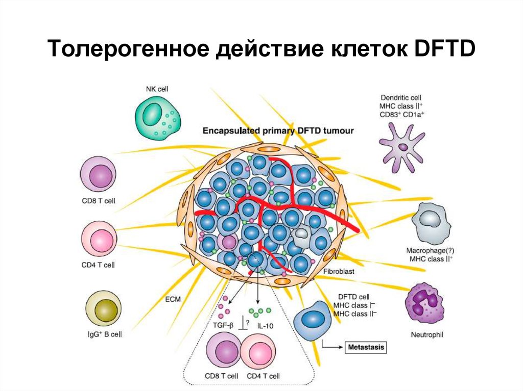 Действия клетки