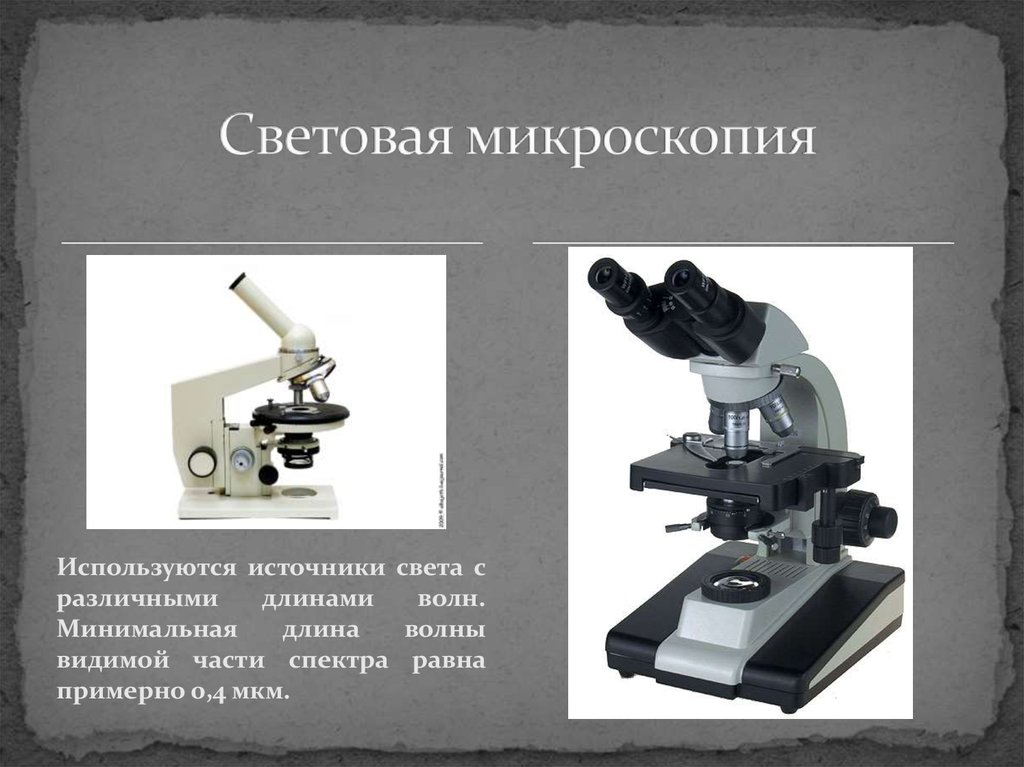 Видимый в микроскоп. Световой микроскоп сбоку. Световой микроскоп сбоку медовед. Световой микроскоп сбоку в школе. Микроскопический метод светового микроскопа.