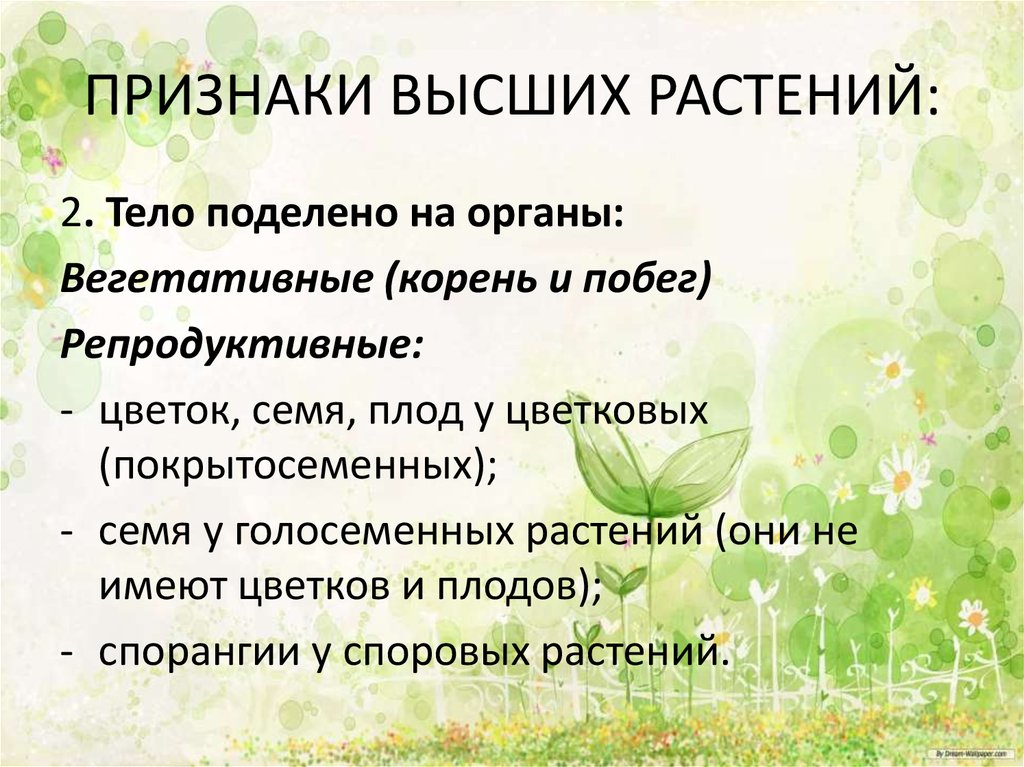 Признаки высших растений