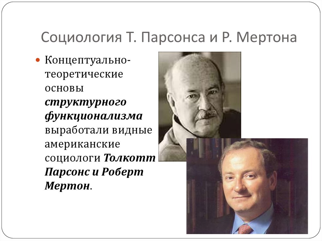 Теоретик социологии