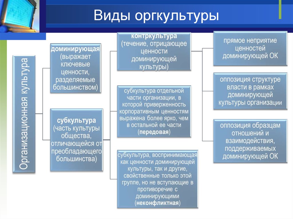 Видом org. Виды орг культур. Разновидности культуры. Культура организации виды. Типы орг. Культуры в организации.