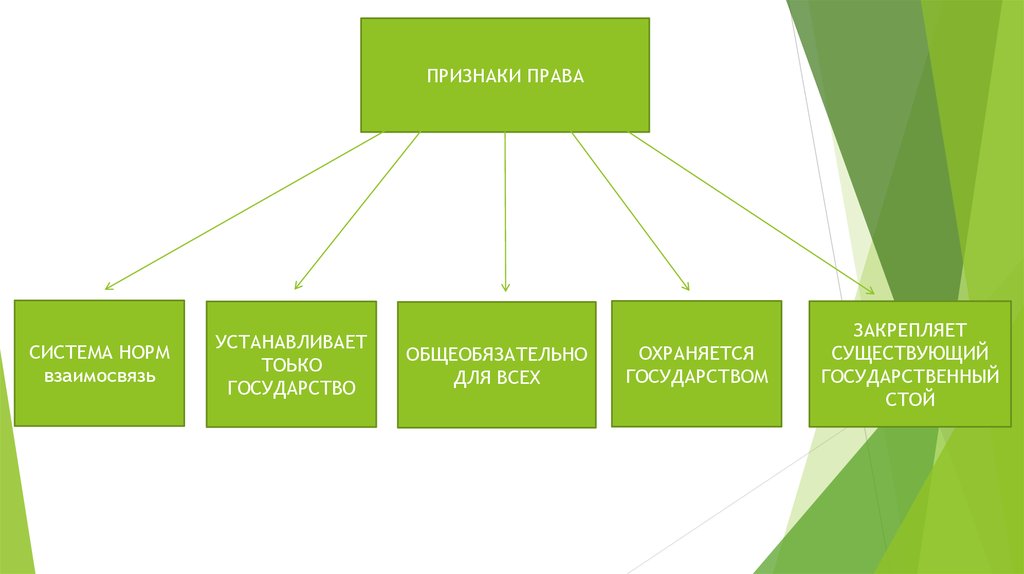 Право в системе социальных норм презентация 10 класс право