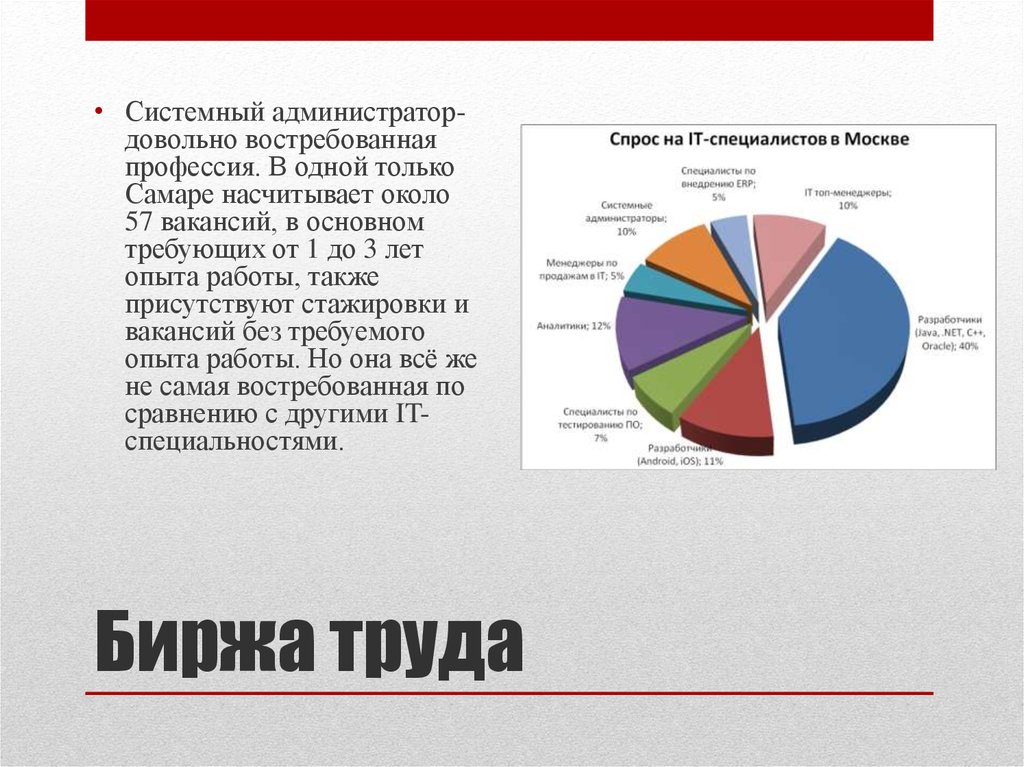 Диаграмма востребованности профессии программиста