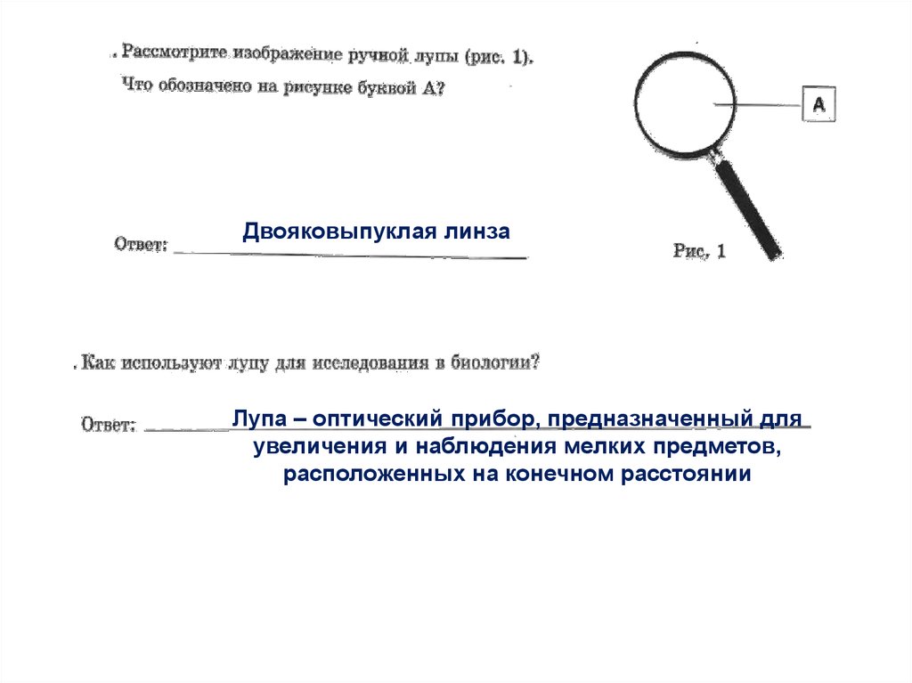 С помощью лупы ученик рассматривает мелкий текст при этом изображение букв является