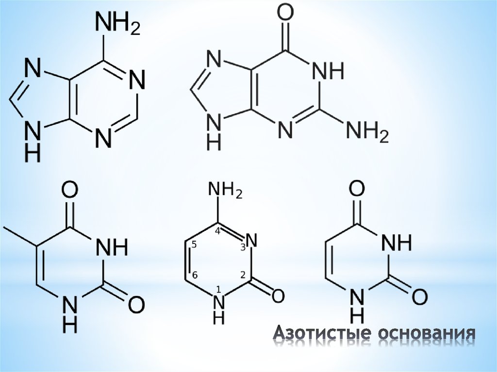 Соединение азотистых оснований. Азотистое основание аденин формула. Азотистые основания РНК формулы. Азотистые основания ДНК формулы. 4 Азотистых основания.