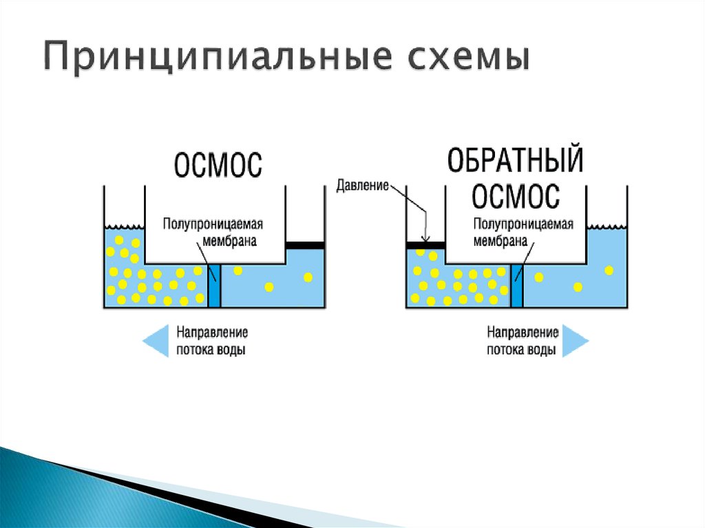 Схема прямого осмоса