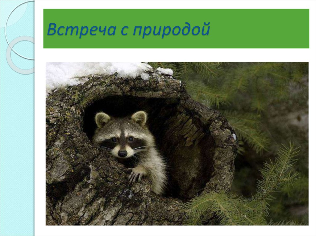 Я вас не знаю это. Я вас не знаю идите на. Вы кто такие. Кто вы такие что вам надо я вас не знаю идите. Картинка кто вы такие я вас не знаю идите.