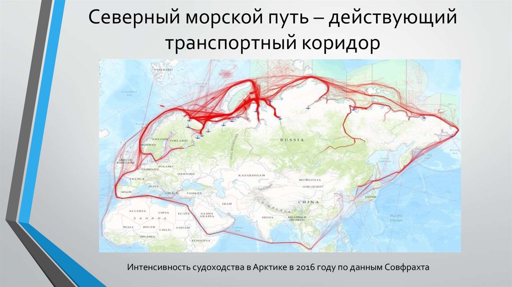 Лесной путь как пройти