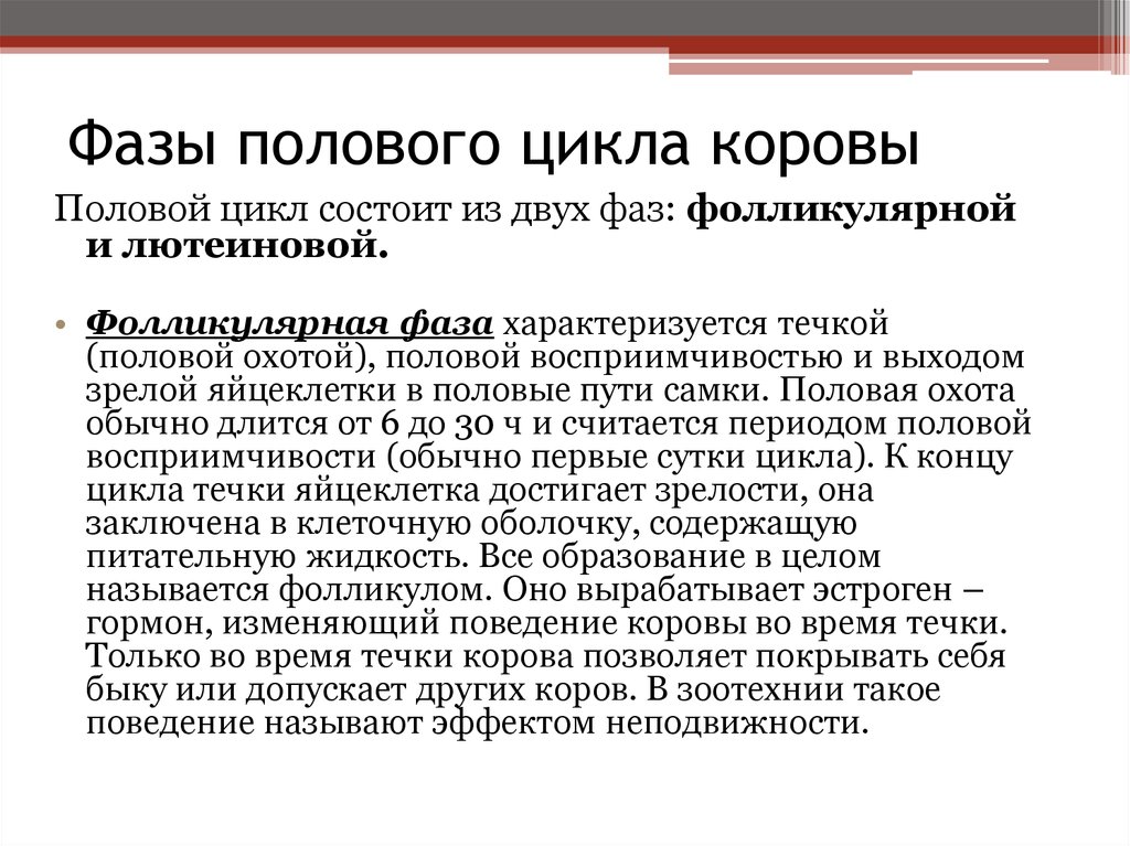 Стадии полового цикла. Фазы полового цикла коровы. Стадии полового цикла КРС. Фазы полового цикла у животных. Стадии половой охоты коров.