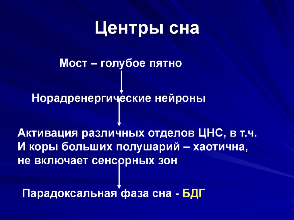 Центр сна. Голубое пятно мозга функции. Норадренергические Нейроны. Норадренергические Нейроны голубого пятна.