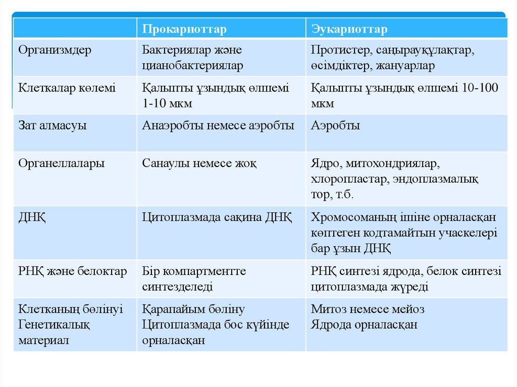 Прокариоттар мен эукариоттардың құрылымы мен генетикалық аппаратының ...