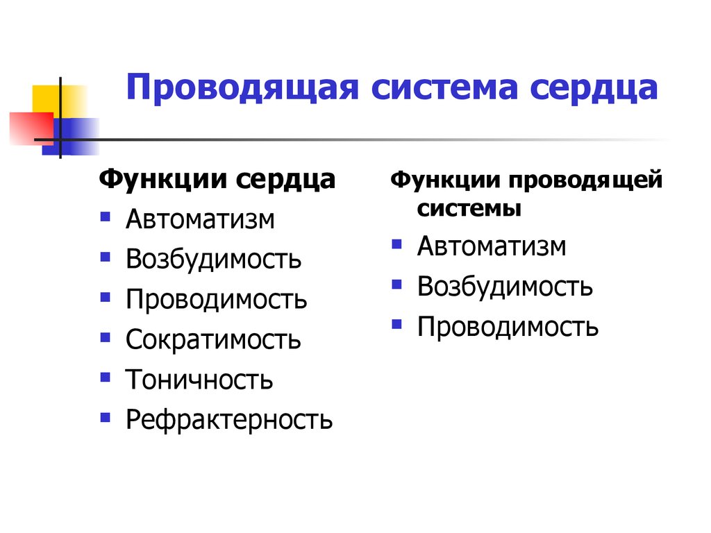 Проводимая система