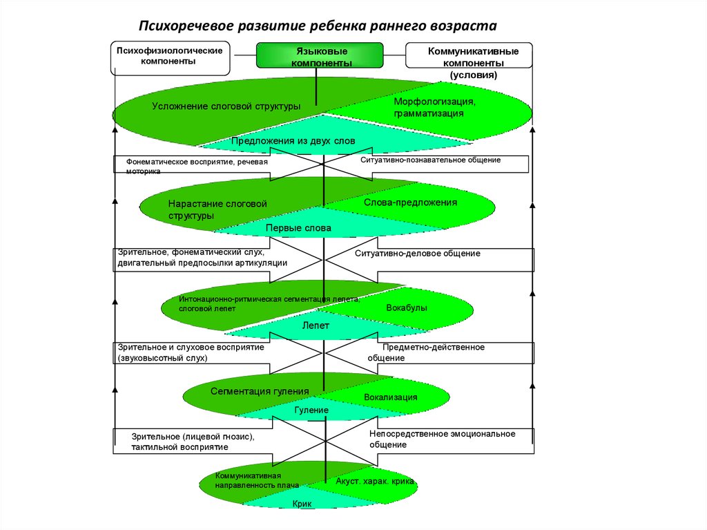 Общая схема фонематического развития н х швачкин