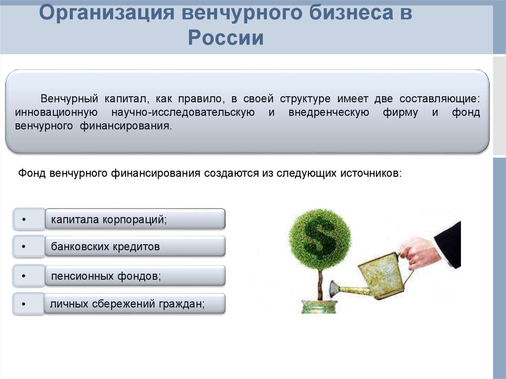 Создание венчурных предприятий обеспечивающих реализацию рисковых проектов называется