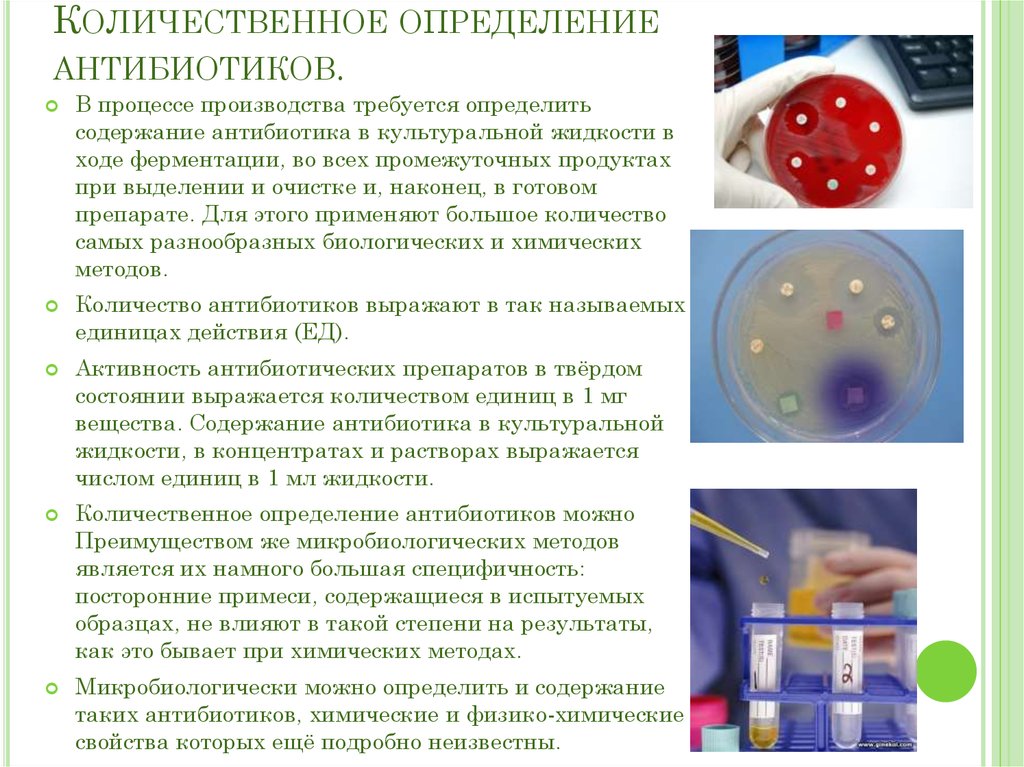 Микробиологический препарат определение. Методика микробиологического анализа микробиология. Методы изучения антибиотиков микробиология. Алгоритм микробиологического исследования. Количественное определение антибиотиков.