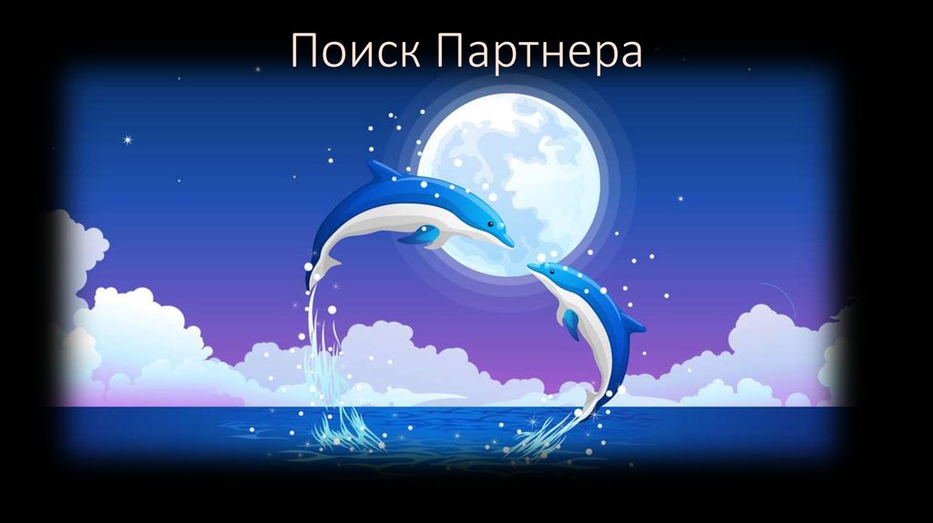 Поиск Партнера