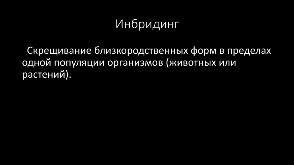 Инбридинг