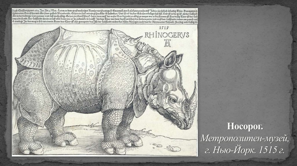 Носорог. Метрополитен-музей, г. Нью-Йорк. 1515 г.