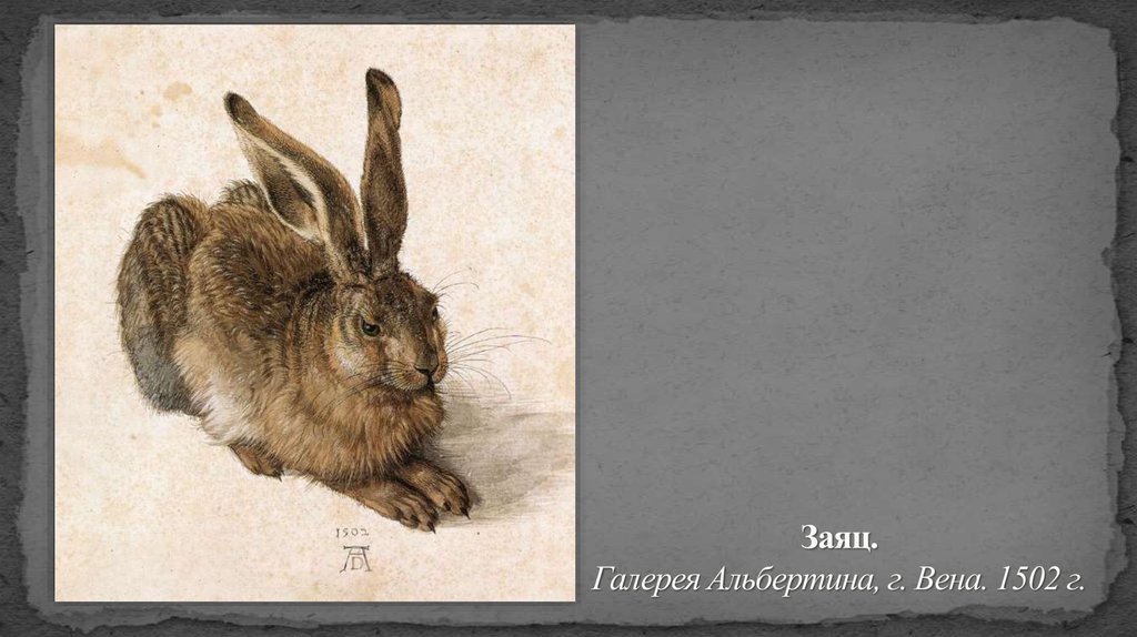 Заяц. Галерея Альбертина, г. Вена. 1502 г.