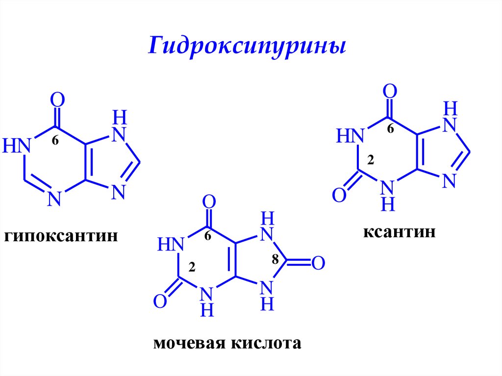 Гипоксантин. Мочевая кислота нумерация атомов. Таутомерные формы мочевой кислоты.