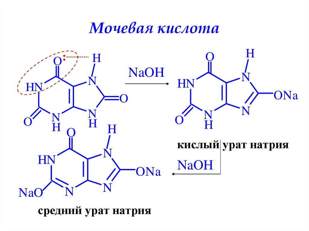 Напишите схему образования мочевой кислоты укажите названия всех ферментов